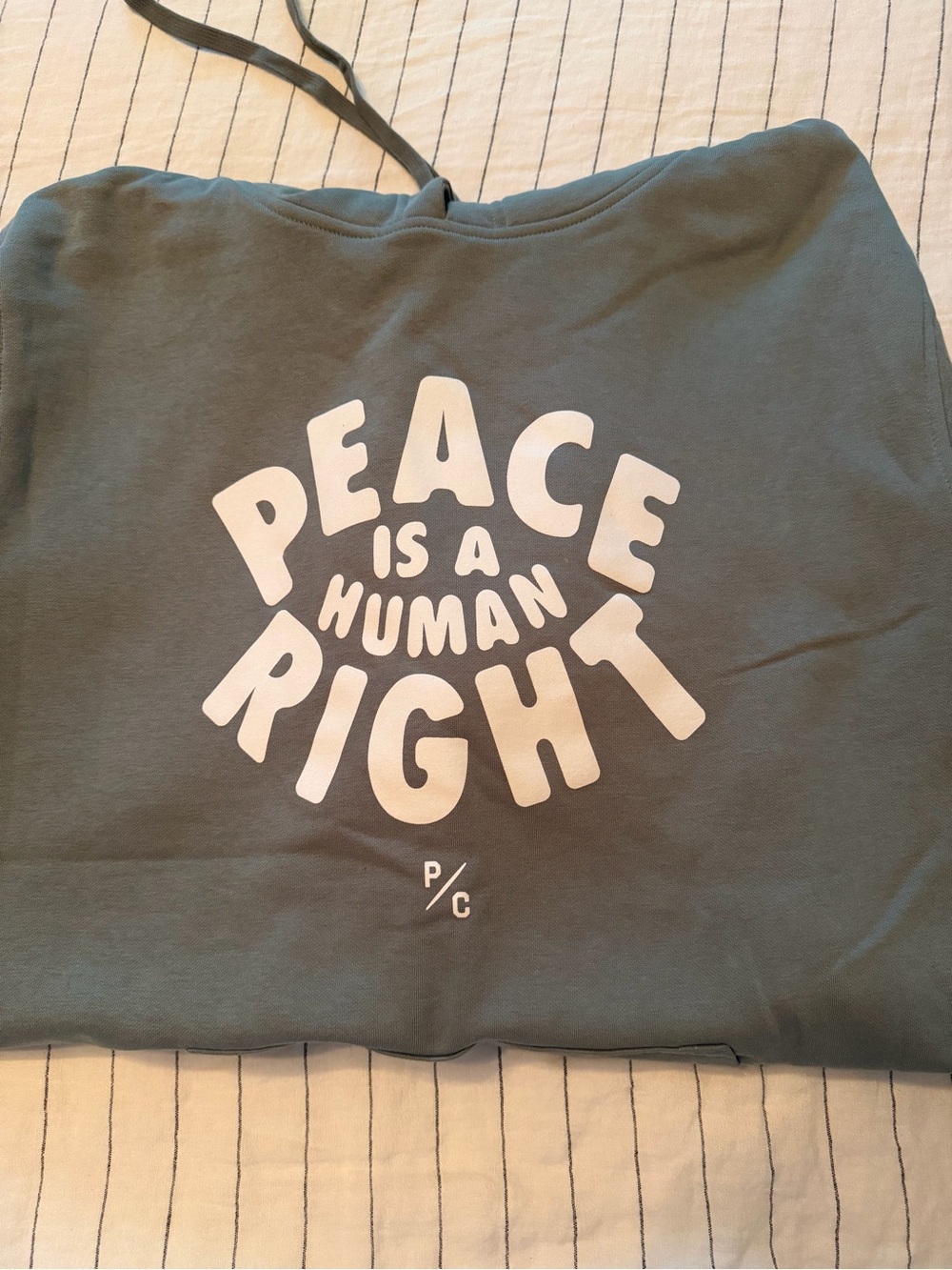 Peace Is A Human Right Graphic Hoodie - Sage green, by Peace Collective